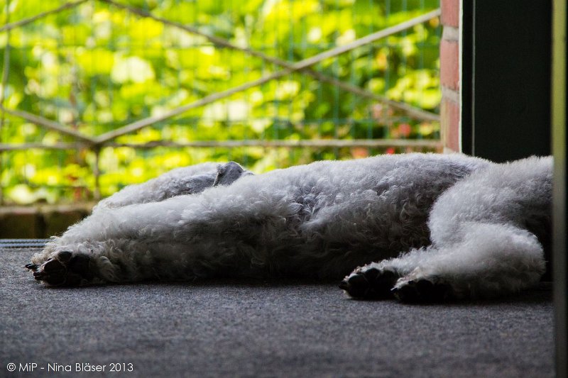 2013-07-23 Svet-0425-2.jpg